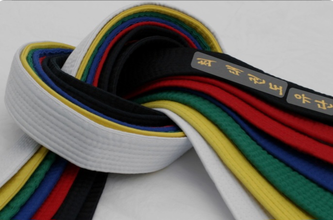 Tingkatan Sabuk Taekwondo, Filosofi Dan Maknanya Nama Dewan Guru Taekwondo Indonesia  TAEKWONDO SMK BINA KARYA